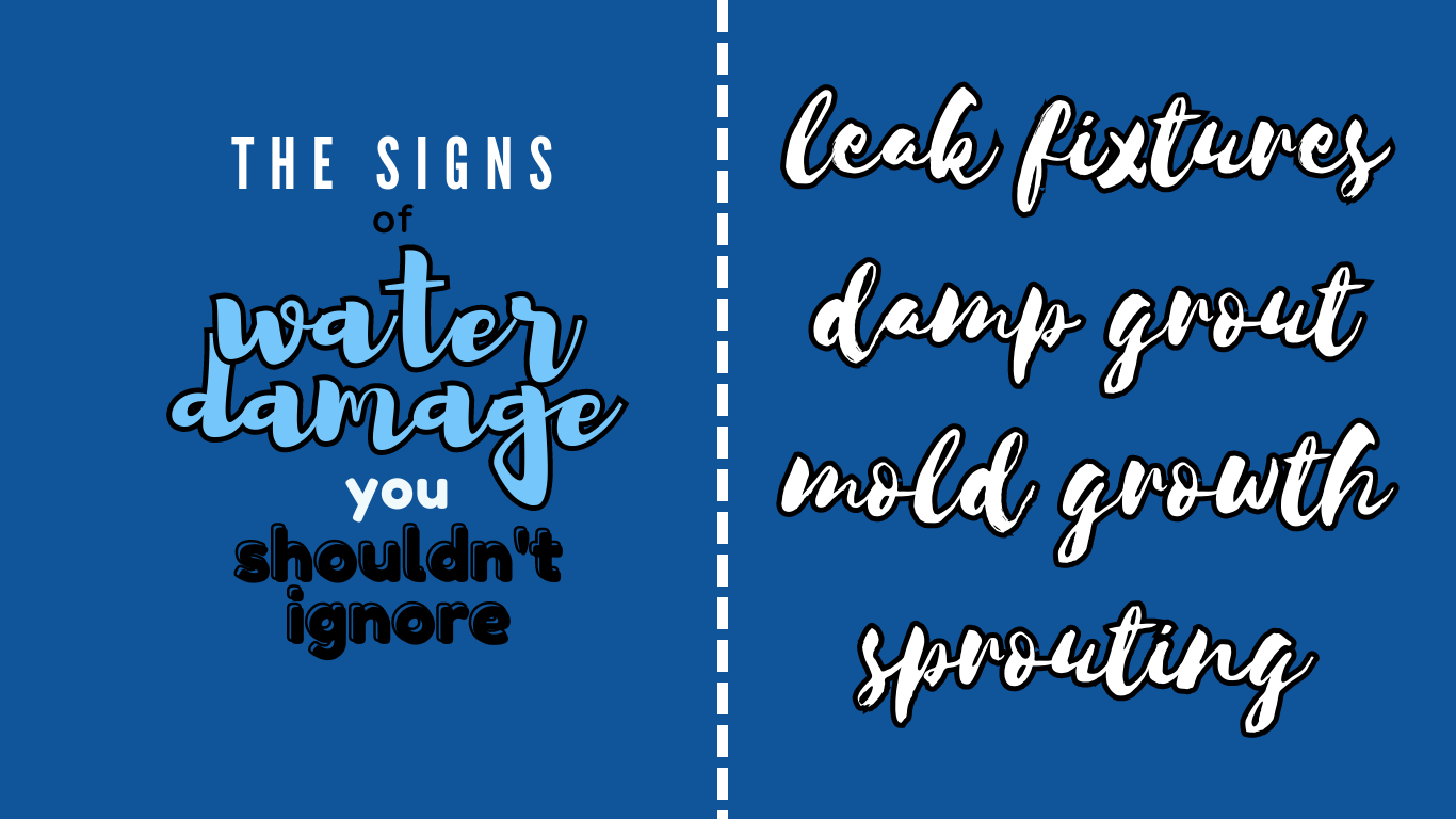 the signs of water damage you should't ignore